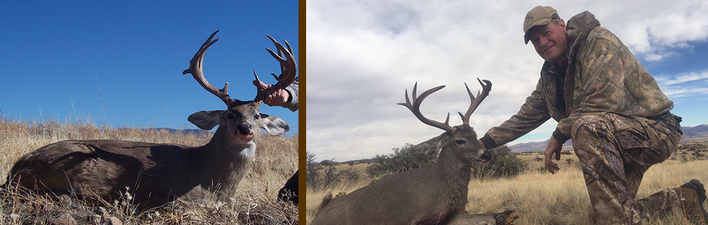 Coues Deer Hunting in Mexico Coues Deer Hunting in Mexico