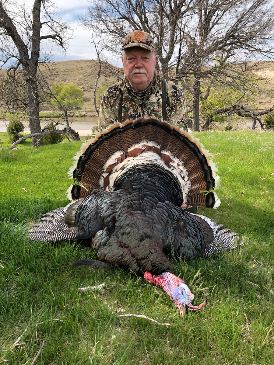 Merriam’s turkey taken in Nebraska by Larry Newton weighing 20lbs., 13oz., with 9” beard and 1” spurs.