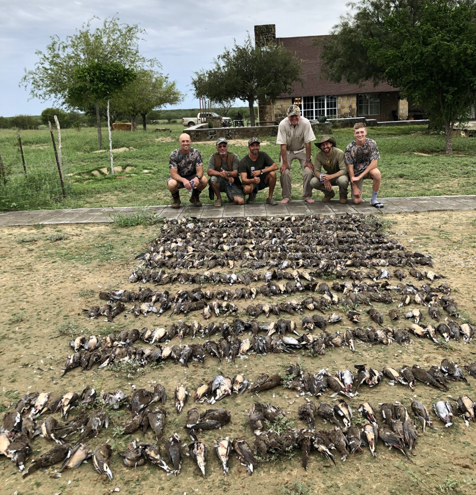 Dove Hunting in Mexico