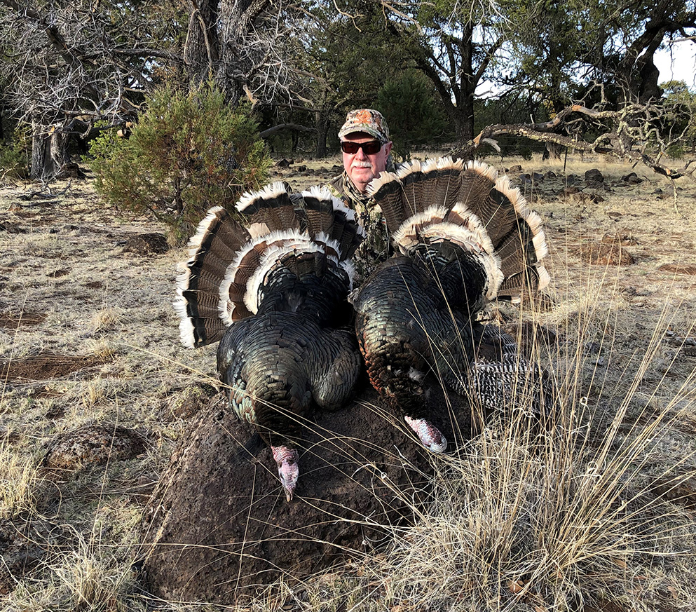 Gould's Turkey Hunt, 2016
