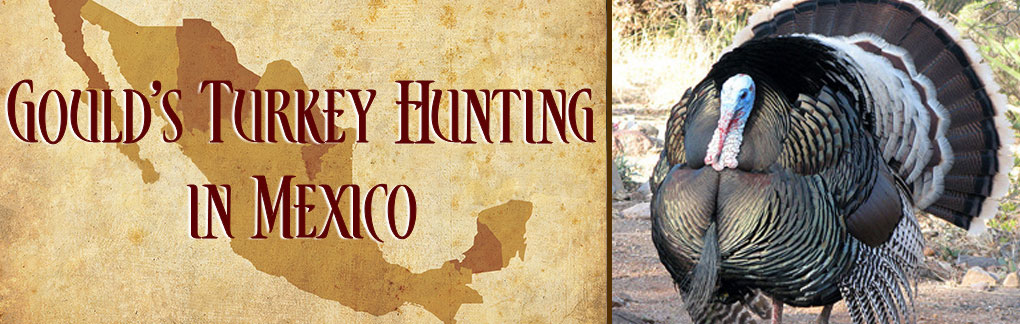 Gould's Turkey Hunting in Mexico