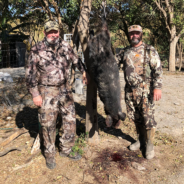 Javelina Hunting in Mexico