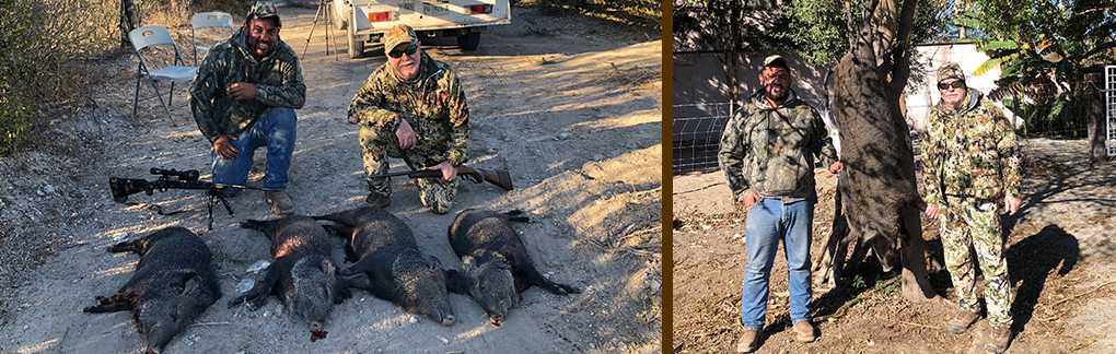Javelina and Feral Hog Hunting in Mexico