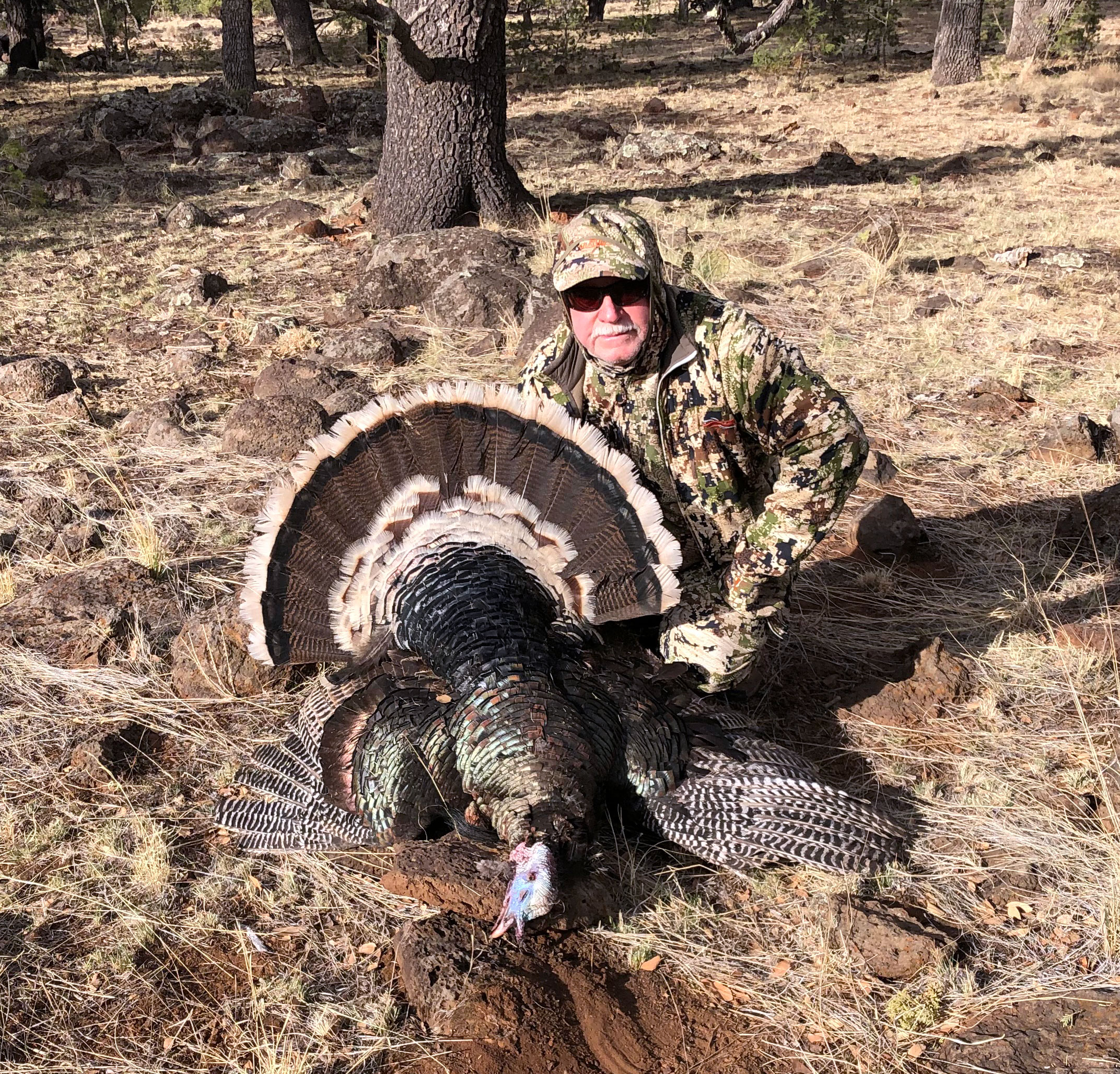 Gould's Turkey Hunt, 2022