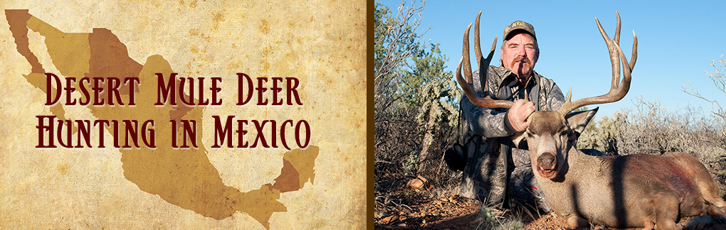 Desert Mule Deer Hunting in Mexico