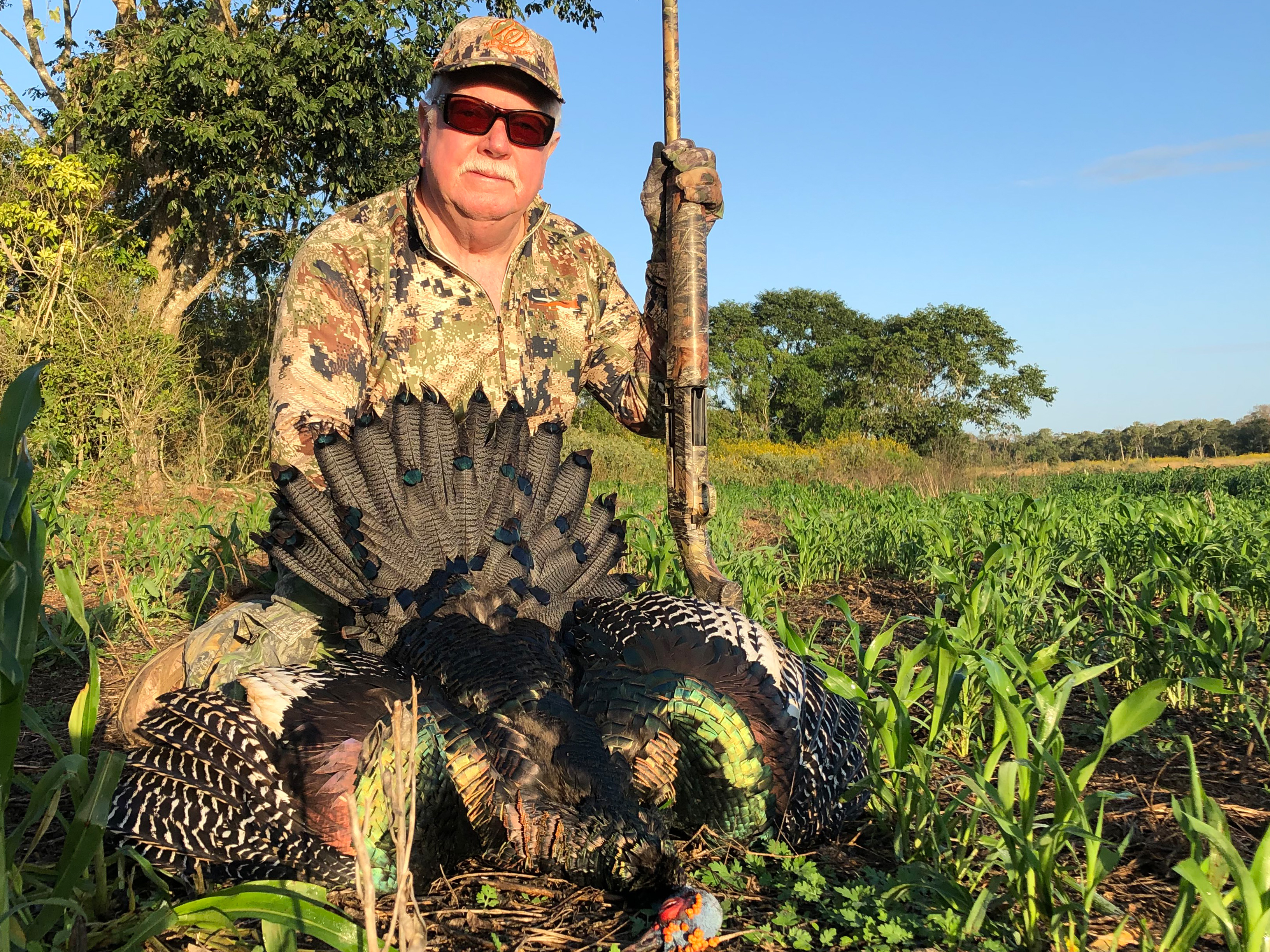 Ocellated Turkey Hunt