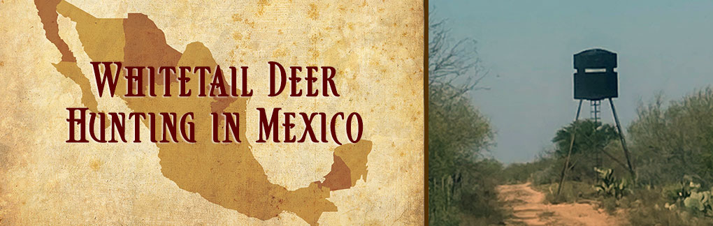 Whitetail Deer Hunting in Mexico