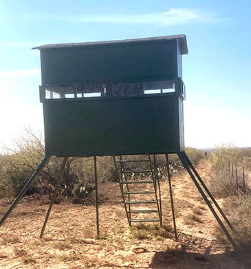 Whitetail Deer Hunting in Mexico